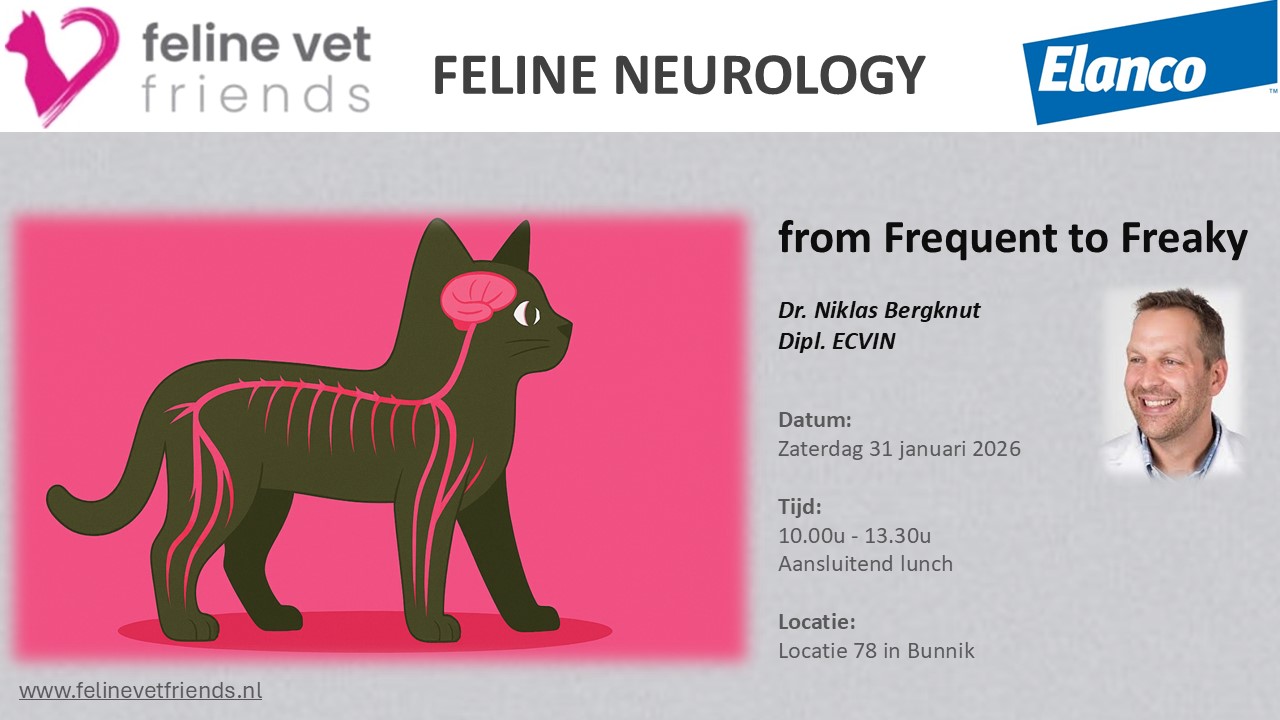Flyer neurologie jan 2026